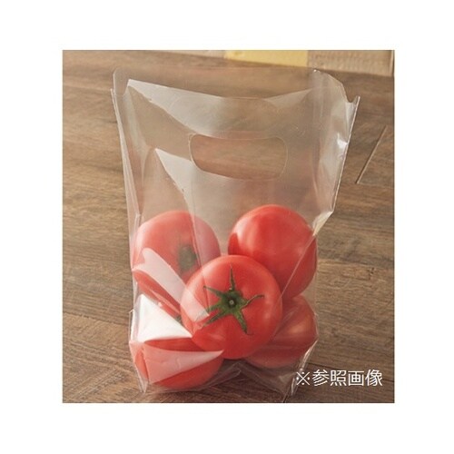 61−293−14−3 ショウバッグ