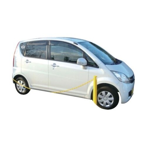 CP0721 カラープラポール