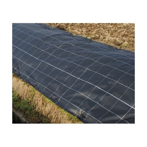 SK50P スクリューキーパー 50本入