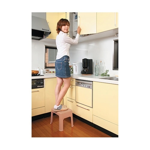プラステップ 一体型踏み台 ベージュ 3
