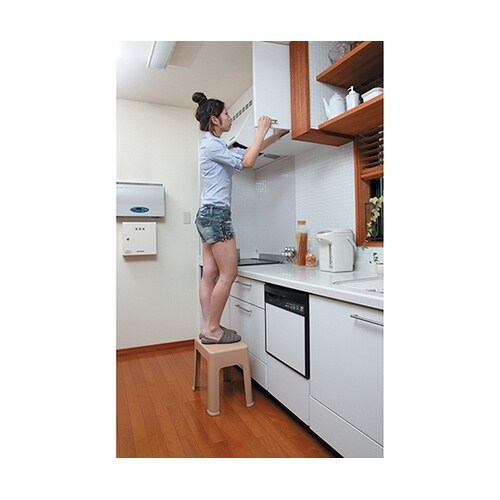 プラステップ 一体型踏み台 ベージュ 4