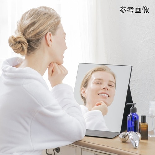 HP−53 プロモデル折立ナピュアミラー