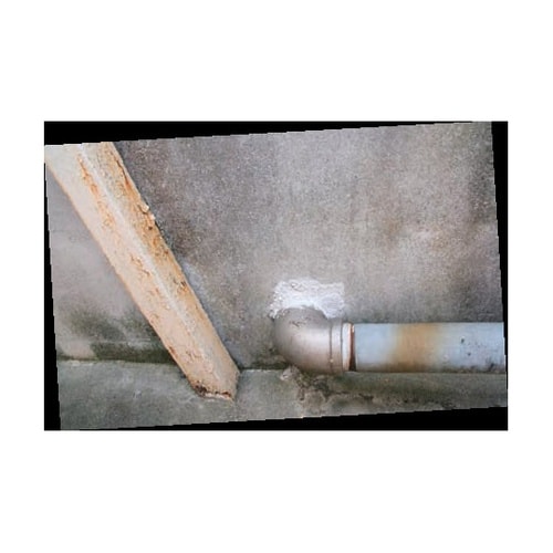 瞬間 穴埋め職人 900g×6缶