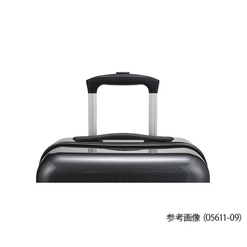 WorldTraveler ナタドラ 3