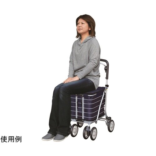 No.135 アルミワゴン MS