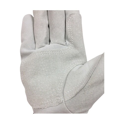 AG549−10P−M 豚床革手袋 M