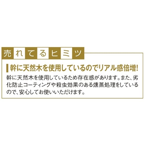 61−752−67−1 立ち木