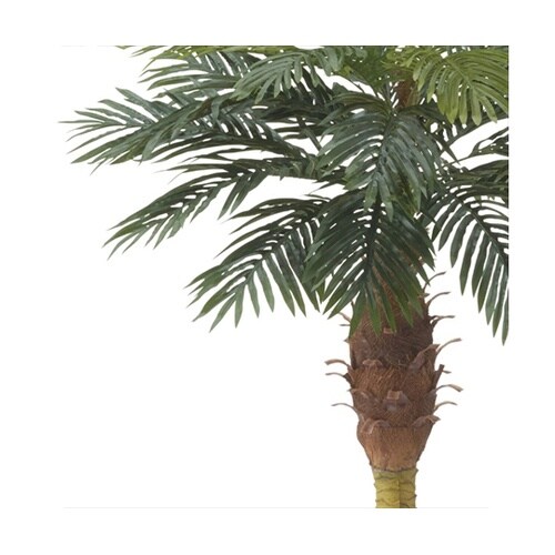 61−428−25−1 パームツリー