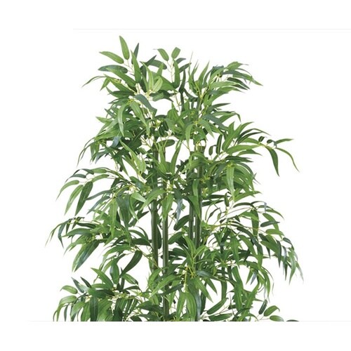 61−428−26−1 バンブー