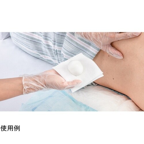 21361 泡クレンズ レギュラー