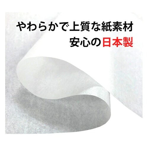 076369エプロンホワイトLL100枚