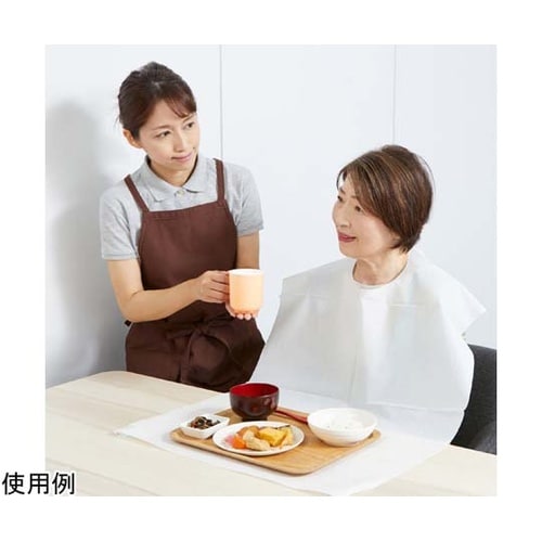 076369エプロンホワイトLL100枚