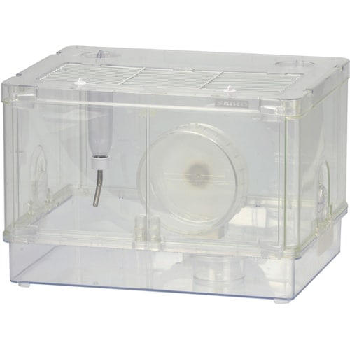 シャイニー45 C131