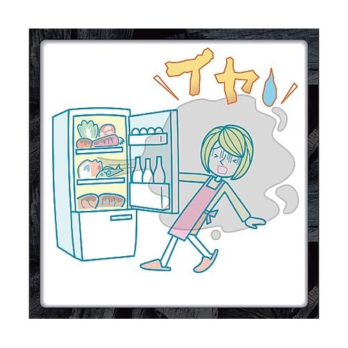 脱臭炭 冷蔵庫用 24個