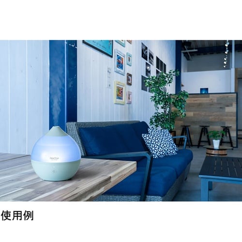 スチーム加湿器「デュードロップL」 ミン