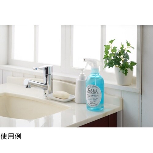 乳酸クリーナー カビグッバイ 500mL