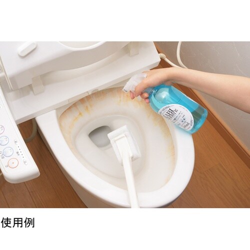 乳酸クリーナー カビグッバイ 500mL