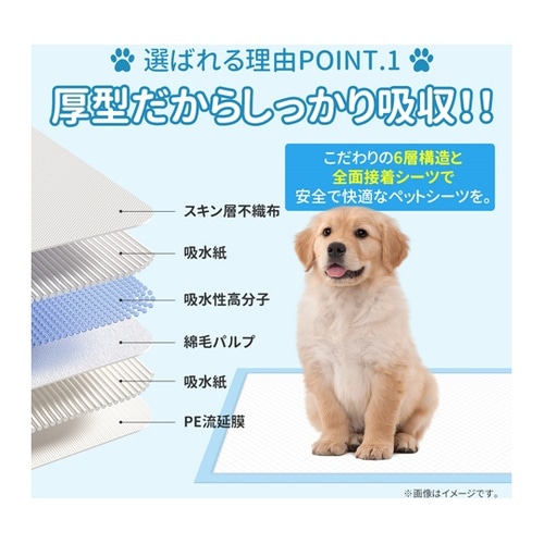 厚型 ペットシーツ スーパーワイド 10