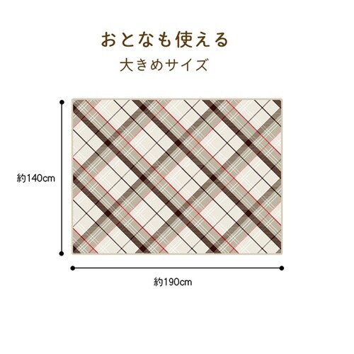 真空パック難燃備蓄用フリースおとな毛布(