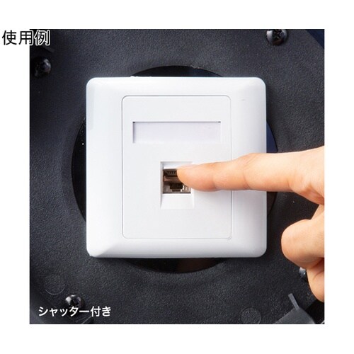 屋外用巻取り延長CAT6A LANケーブ