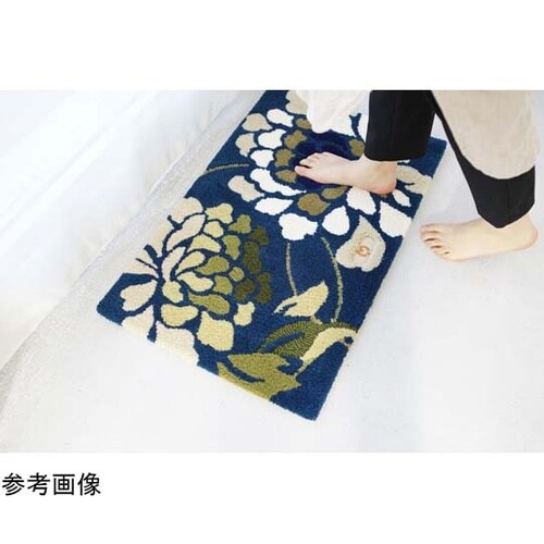 ミラショーン 玄関マット MSニューピオ