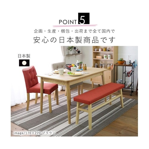 防ダニ ダイニングラグ ストレイル 17