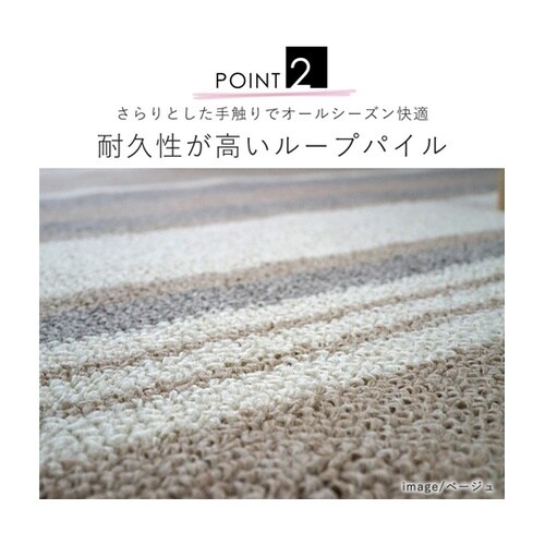 防ダニ ダイニングラグ ストレイル 22