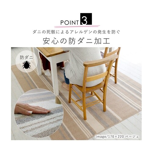 防ダニ ダイニングラグ ストレイル 22