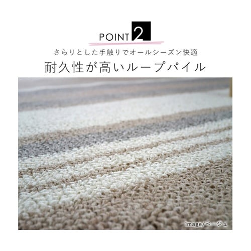 防ダニ ダイニングラグ ストレイル 17