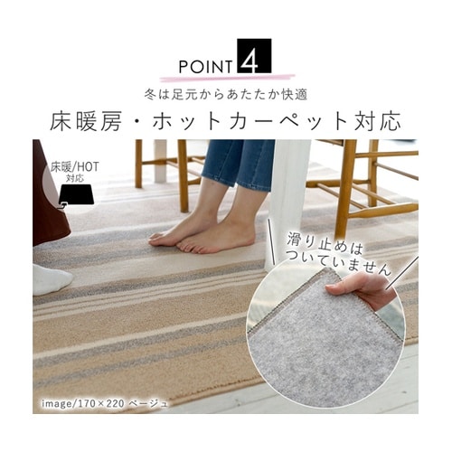 防ダニ ダイニングラグ ストレイル 17