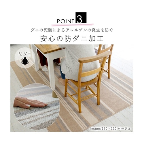 防ダニ ダイニングラグ ストレイル 22