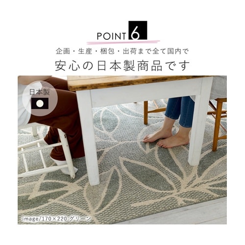 防ダニ ダイニングラグ ラインリーフ 2