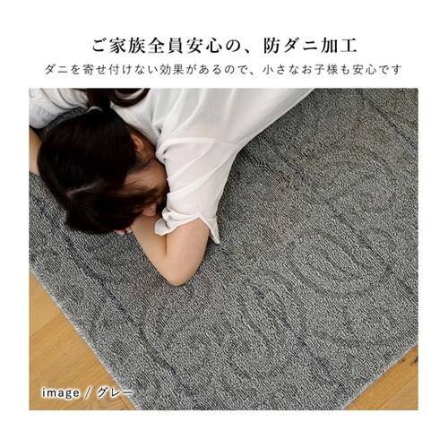 洗えるラグ ノイル 185×240cm