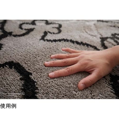 PEANUTS ラグ サパータイム 13