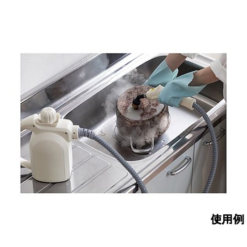 AC100V/1000W スチームクリー