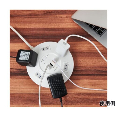 AC100V/14Ax2m タップ(6口