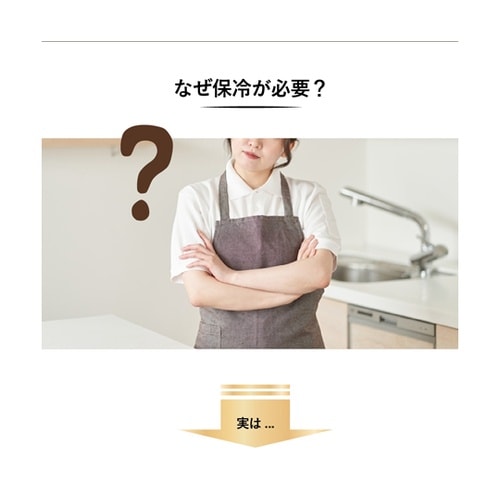 保冷米びつ ライスクーラー 31kg S