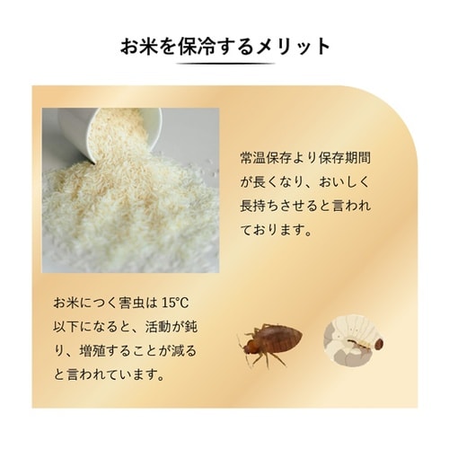 保冷米びつ ライスクーラー 31kg S