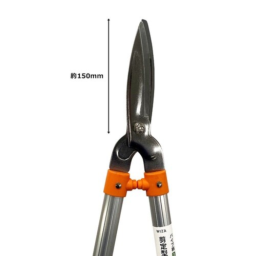 WIZ’A ア−クランズ パイプ柄ステン