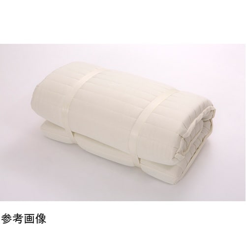 ボディドクターR レギュラー シングル