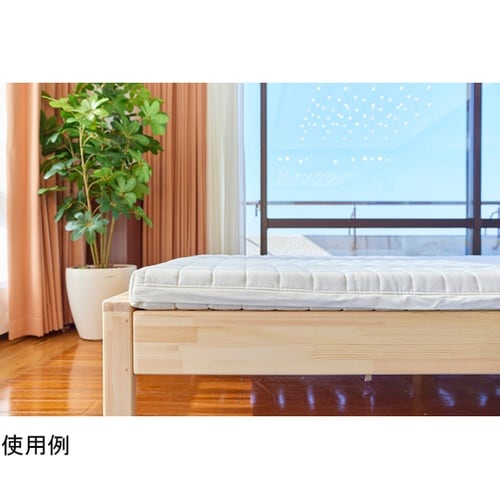 ボディドクターR レギュラー シングル