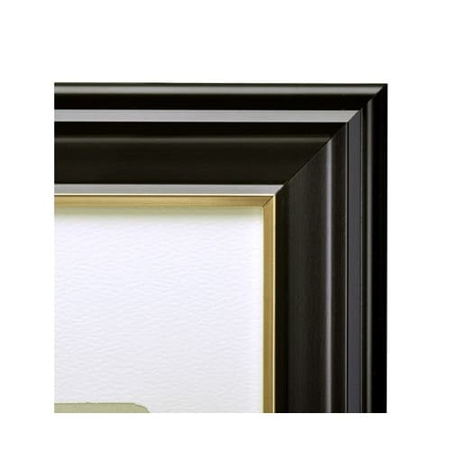 ハクバ 肖像額縁 入山 太子判サイズ 無