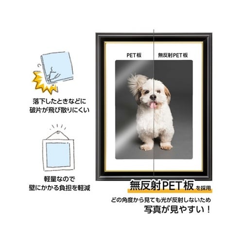 ハクバ 肖像額縁 入山 太子判サイズ 無