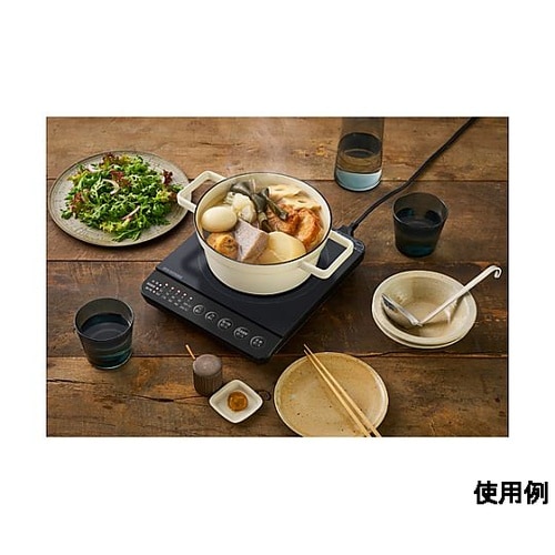 AC100V/1000W 240x286