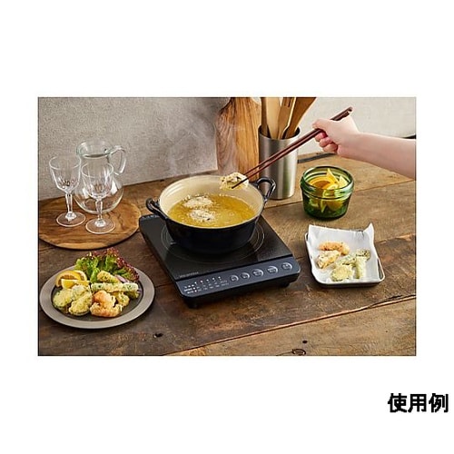 AC100V/1000W 240x286