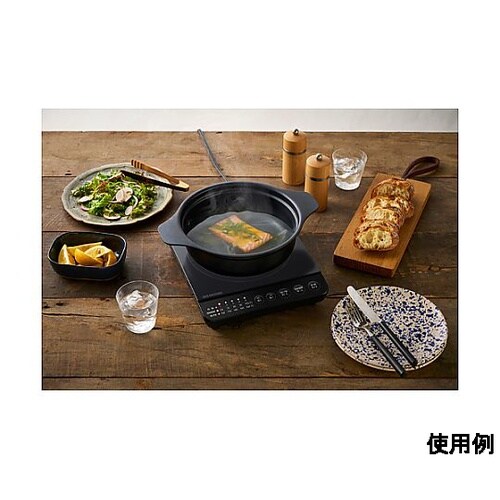 AC100V/1000W 240x286