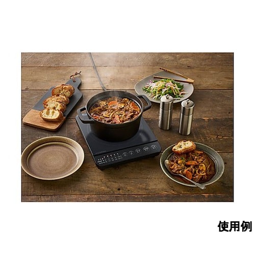 AC100V/1000W 240x286