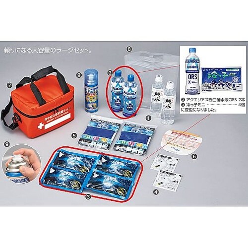 熱中症応急処置キット ラージ 37590