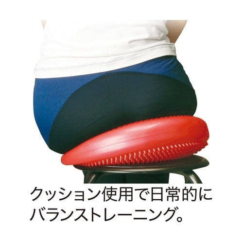バランスディスク DK380