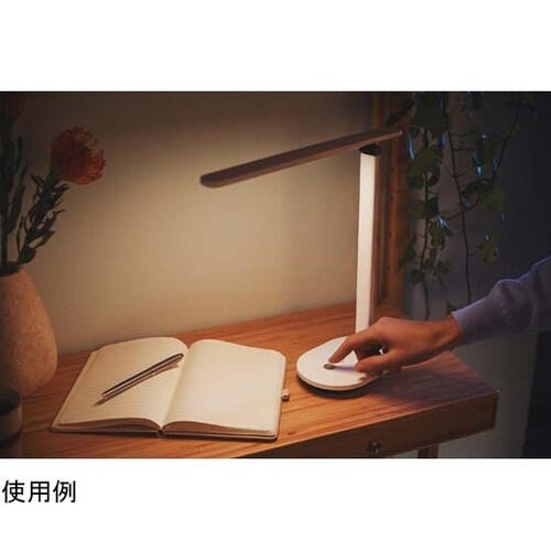 デスクライト ポータブルモデル DSK2